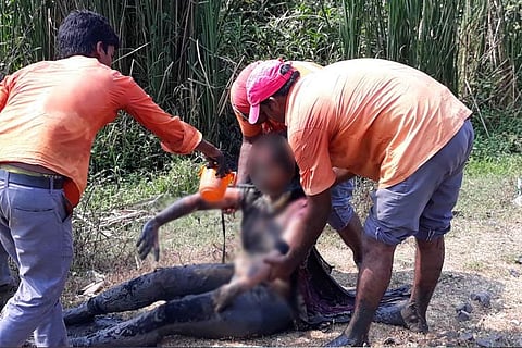 Andhra woman allegedly jumps off moving train, alert workers rush her to hospital