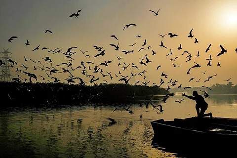 Three-phase bird census in Tamil Nadu to commence on January 28