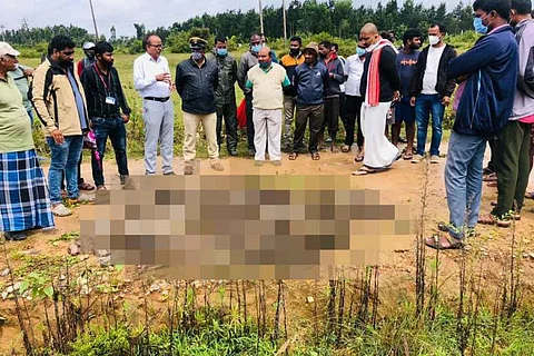 Locals gathered over the bodies of bonnet macaques