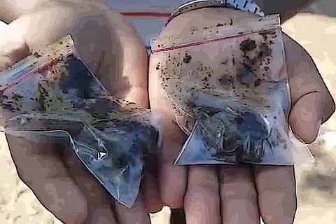 After AP, 'herbal' meds for COVID-19 distributed in Karnataka without permission