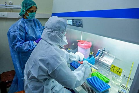 Laboratory genome sequencing