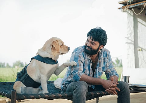 a snapshot from the movie 777Charlie where a man is seen sitting with a dog