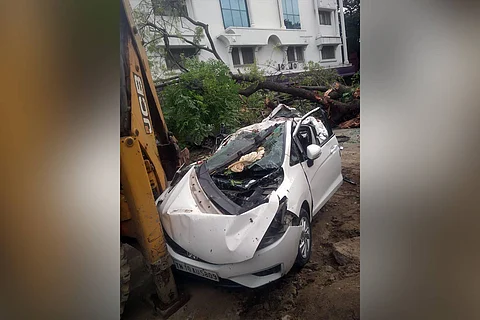 The banged-up in which Vani and Ezhilarasi were travelling, after the tree fell on it