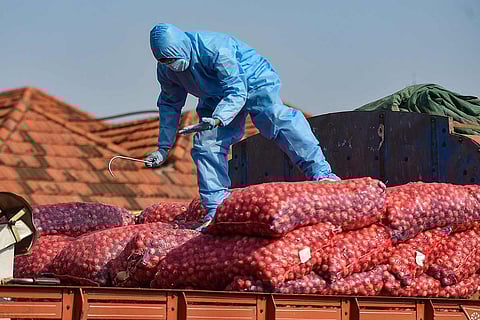Koyambedu vegetable load