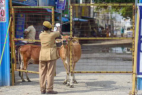 Chennai COVID-19 lockdown