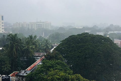 Chennai rain landscape