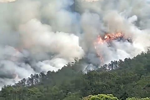 Plane crash in China