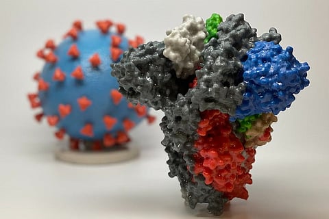 Novel coronavirus model
