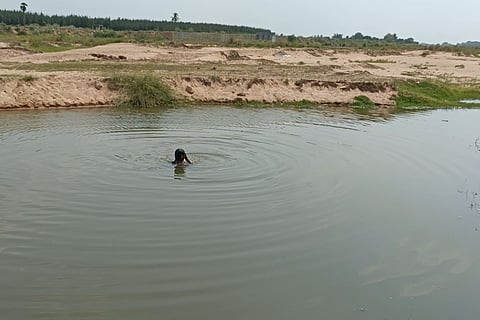 Image of a person swimming at the Geddilam river check dam in Cuddalore