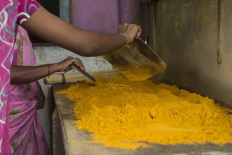 This German curry powder brand was started to fund an Indian girl’s education