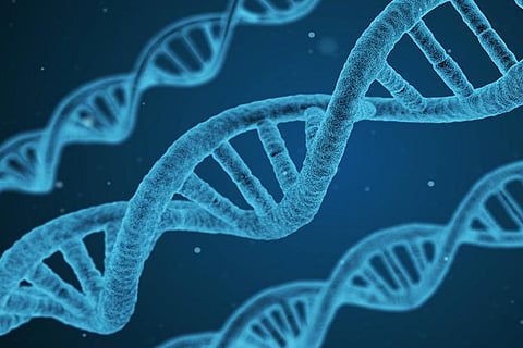 Rare disease conundrum: Why the new govt policy is not enough to help the affected