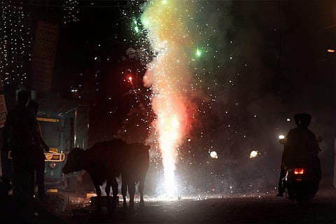 Representative image