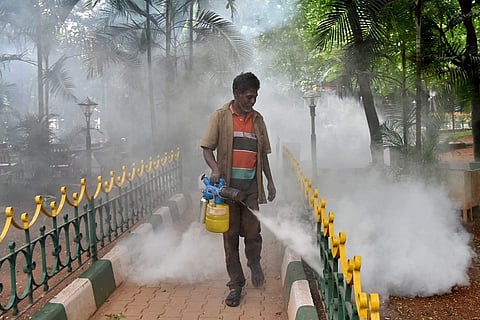 TN likely to see more dengue cases with arrival of Northeast monsoon