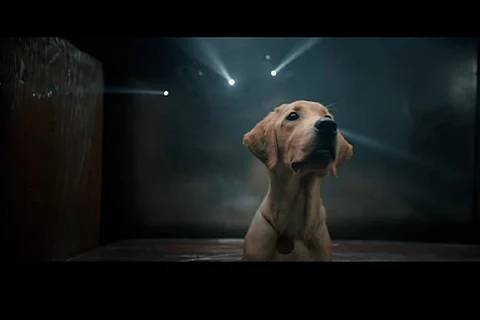 Screenshot from 777 Charlie