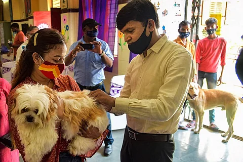 A dog being vaccinated during the free vaccination drive against Rabies on the occasion of 'World Rabies Day'.