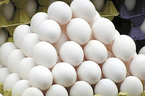 Eggs exported from Namakkal