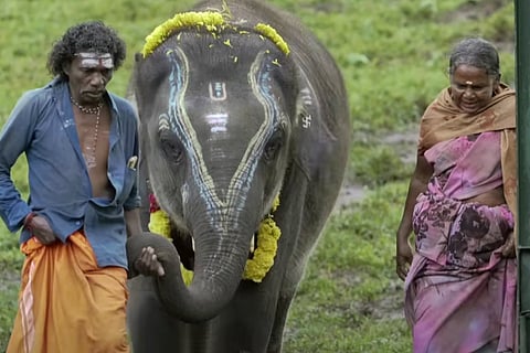 A still from The Elephant Whisperers