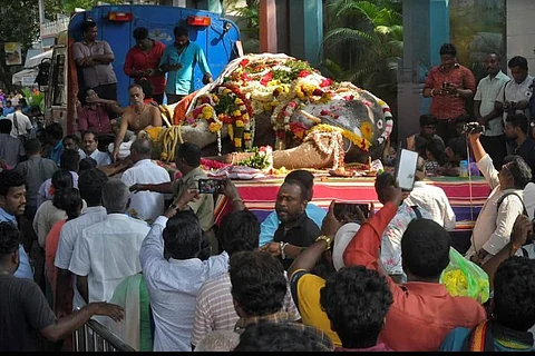 Puducherry temple elephant Lakshmi collapses on road and dies