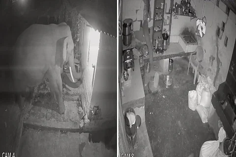 CCTV screengrab: Elephant breaks kitchen wall in Tamil Nadu, steals sack of food