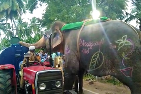 Video of elephant in Karnataka drinking water from tanker goes viral