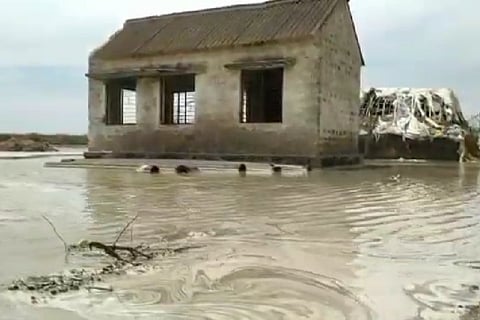 The ash pond in Sepakkam