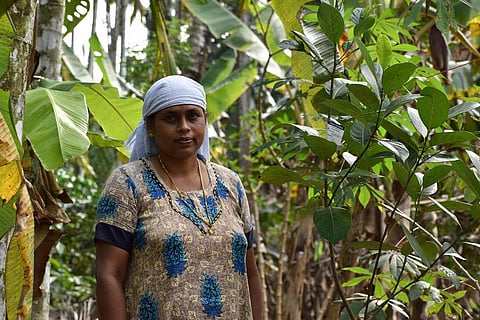 A woman farmer in Meenangadi