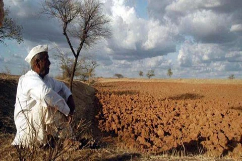 Photo of a farmer sitting in a farmland
