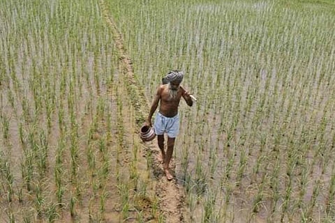 Month after Siddaramaiah govt waived farmer loans, 90 K’taka farmers killed themselves