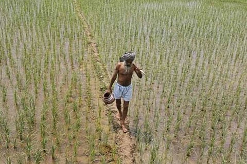 Month after Siddaramaiah govt waived farmer loans, 90 K’taka farmers killed themselves 