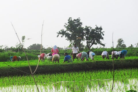 Telangana govt releases Rs 5,100 cr to farmers as part of Rythu Bandhu scheme