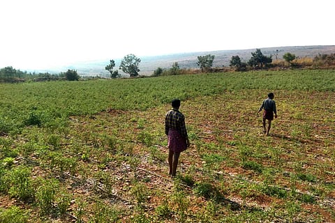 Farmers near Tummalapalle uranium mine