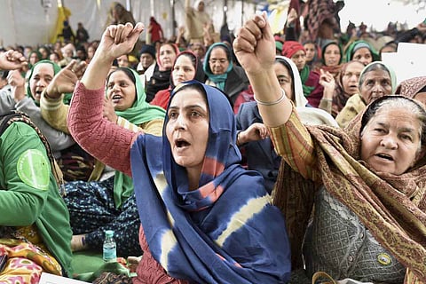 Protesting farmers in the Singhu border