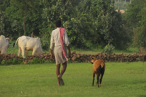 Farmers