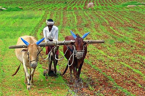 ICICI officials accused of duping rural customers, fraudulently selling insurance schemes