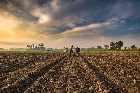 Farming