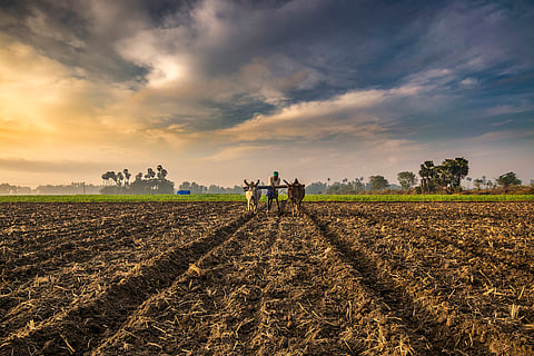 Airtel Payments Bank, Mastercard partner to develop financial products for farmers, SMEs