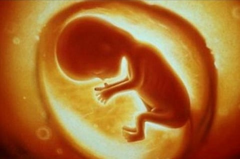 TN HIV blood transfusion case: How high is the risk of infection for the unborn child?