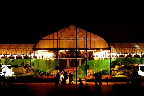 The Glass House lit up at night