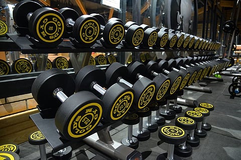 Gold's Gym weights