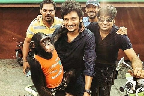 'Gorilla' makers reply to PETA, say chimpanzee scenes already shot