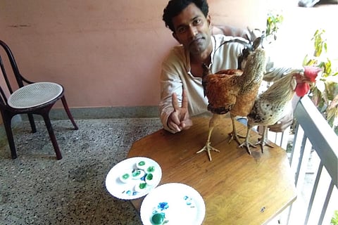 Eggs with green coloured yolks