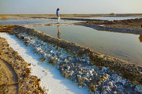 A salt pan worker at Little Rann of Kutch