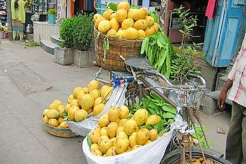 Australia to import Indian mangoes for first time