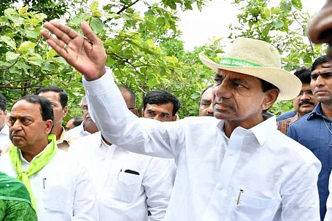 Telangana ranks first in environment conservation, forest cover