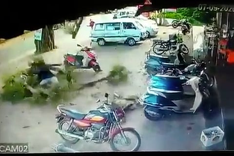 Tree branch collapses in Karnataka