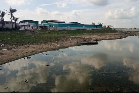 Shrimp hatcheries violating norms in Chengalpattu and Villpuram