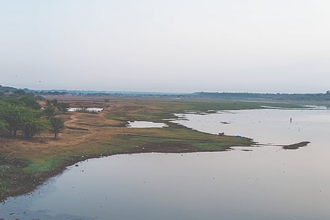 Hesaraghatta Grassland