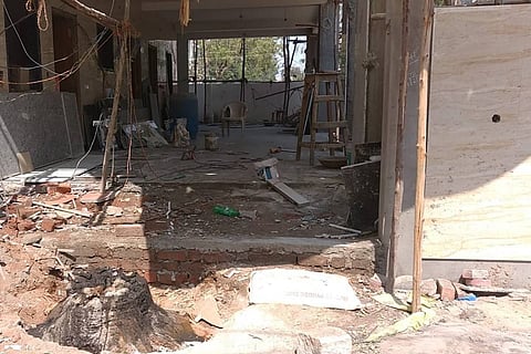 Burnt stump of a tree in Saidabad