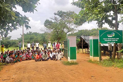 Wages delayed for three months, workers in Hyderabad’s Urban Forest Nursery protest