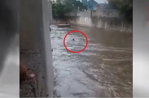 Video: Man washed away in Hyderabad nala amidst heavy rain, rescue attempts fail